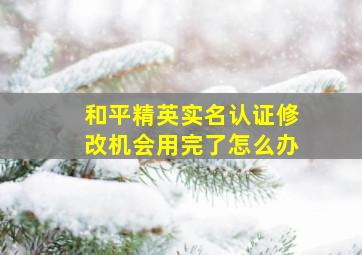 和平精英实名认证修改机会用完了怎么办