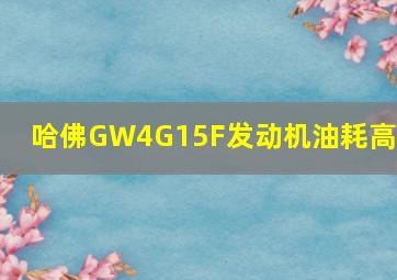 哈佛GW4G15F发动机油耗高吗