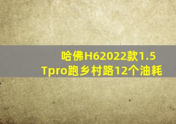 哈佛H62022款1.5Tpro跑乡村路12个油耗