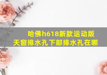 哈佛h618新款运动版天窗排水孔下部排水孔在哪