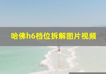 哈佛h6档位拆解图片视频