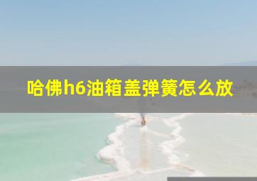 哈佛h6油箱盖弹簧怎么放