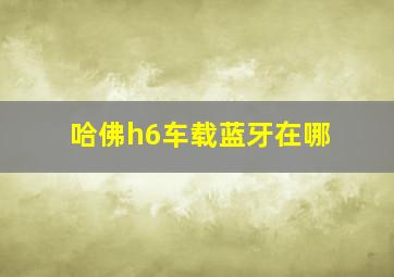 哈佛h6车载蓝牙在哪