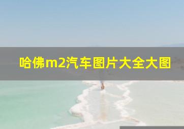 哈佛m2汽车图片大全大图