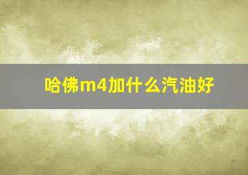 哈佛m4加什么汽油好