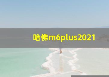 哈佛m6plus2021