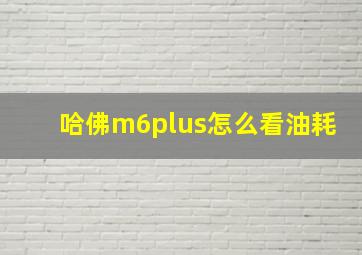 哈佛m6plus怎么看油耗