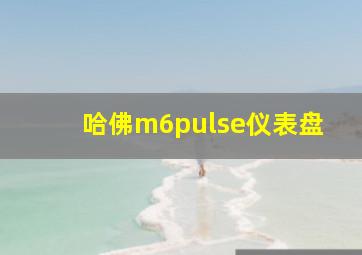 哈佛m6pulse仪表盘