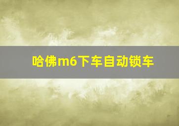 哈佛m6下车自动锁车