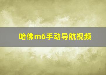 哈佛m6手动导航视频