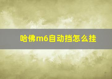 哈佛m6自动挡怎么挂