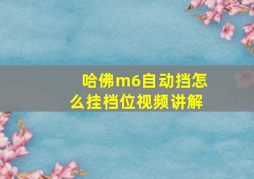 哈佛m6自动挡怎么挂档位视频讲解