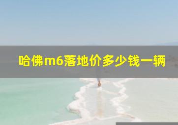 哈佛m6落地价多少钱一辆