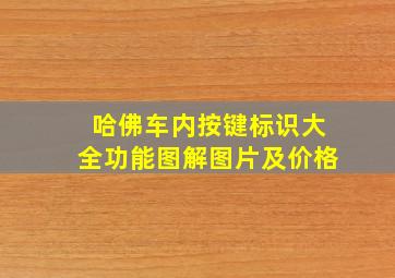 哈佛车内按键标识大全功能图解图片及价格