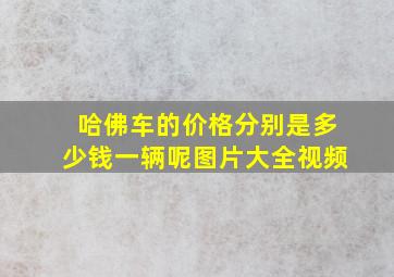 哈佛车的价格分别是多少钱一辆呢图片大全视频