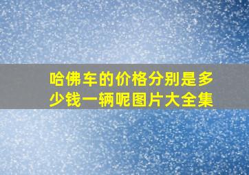 哈佛车的价格分别是多少钱一辆呢图片大全集