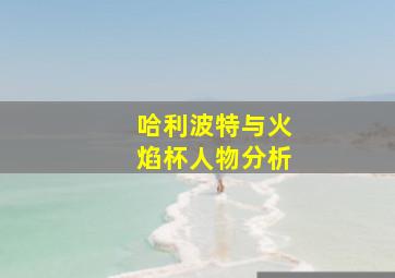 哈利波特与火焰杯人物分析