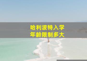 哈利波特入学年龄限制多大