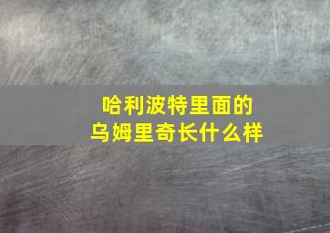 哈利波特里面的乌姆里奇长什么样