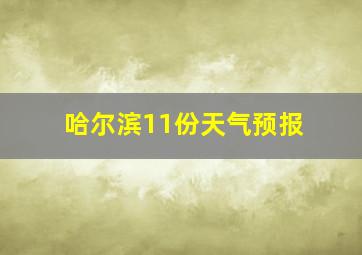 哈尔滨11份天气预报