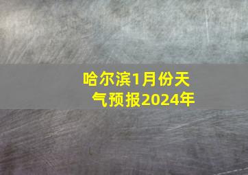 哈尔滨1月份天气预报2024年