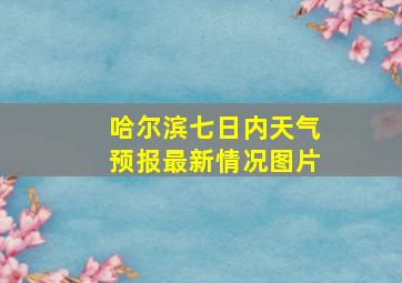 哈尔滨七日内天气预报最新情况图片