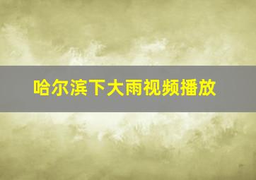 哈尔滨下大雨视频播放