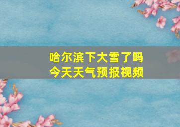 哈尔滨下大雪了吗今天天气预报视频