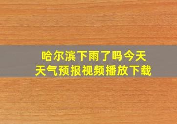 哈尔滨下雨了吗今天天气预报视频播放下载