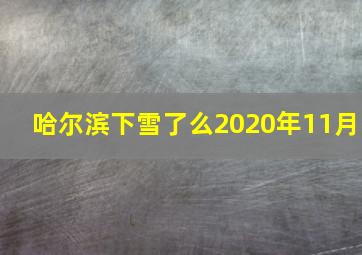 哈尔滨下雪了么2020年11月