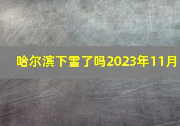 哈尔滨下雪了吗2023年11月