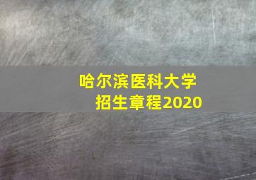 哈尔滨医科大学招生章程2020