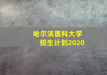 哈尔滨医科大学招生计划2020