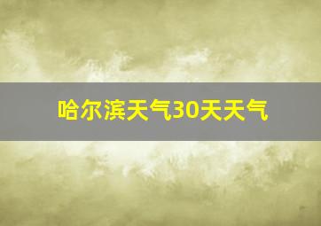 哈尔滨天气30天天气