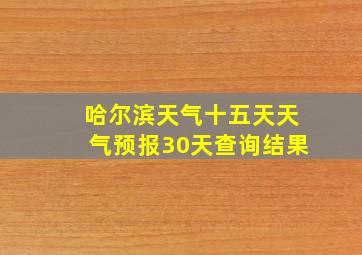 哈尔滨天气十五天天气预报30天查询结果