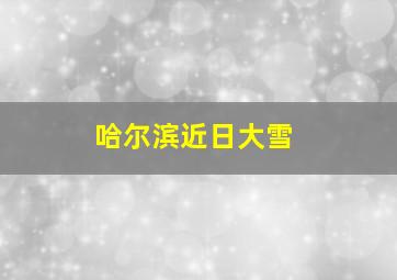 哈尔滨近日大雪