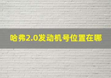 哈弗2.0发动机号位置在哪