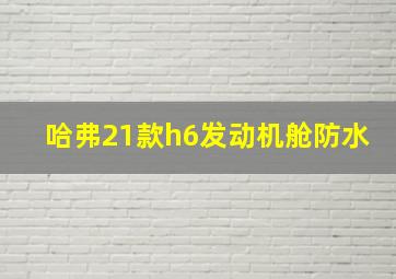 哈弗21款h6发动机舱防水