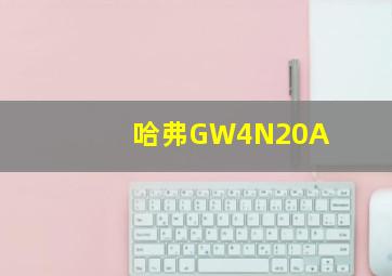 哈弗GW4N20A