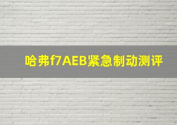 哈弗f7AEB紧急制动测评