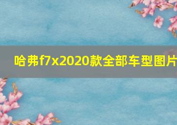 哈弗f7x2020款全部车型图片