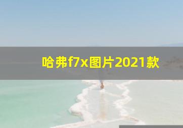 哈弗f7x图片2021款