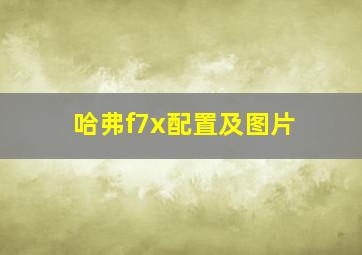 哈弗f7x配置及图片