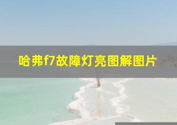 哈弗f7故障灯亮图解图片