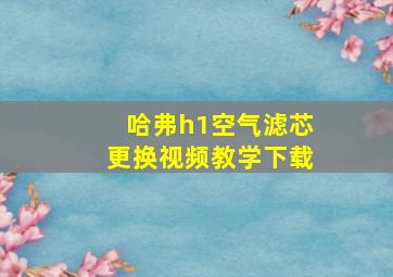 哈弗h1空气滤芯更换视频教学下载