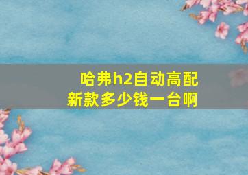 哈弗h2自动高配新款多少钱一台啊