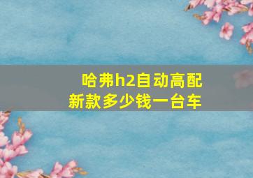 哈弗h2自动高配新款多少钱一台车