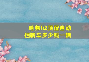 哈弗h2顶配自动挡新车多少钱一辆