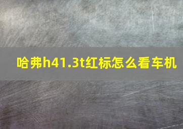 哈弗h41.3t红标怎么看车机