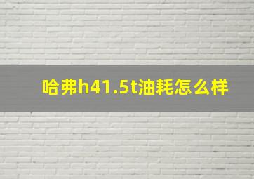 哈弗h41.5t油耗怎么样